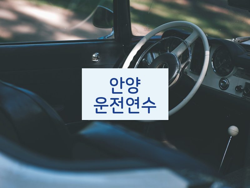 안양운전연수 후기