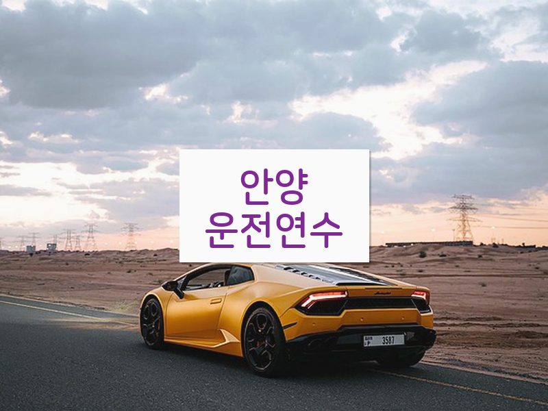 안양운전연수 후기