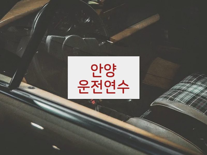 안양운전연수 후기