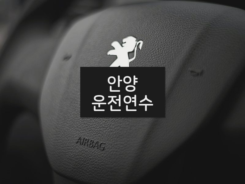 안양운전연수 후기