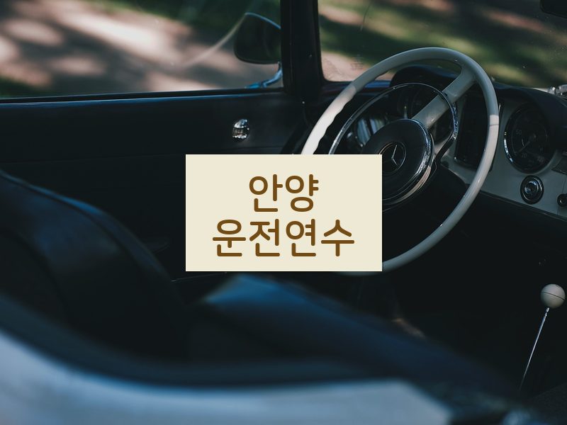 안양운전연수 후기