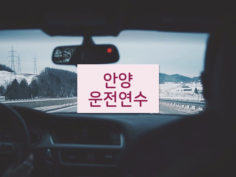 안양운전연수 후기