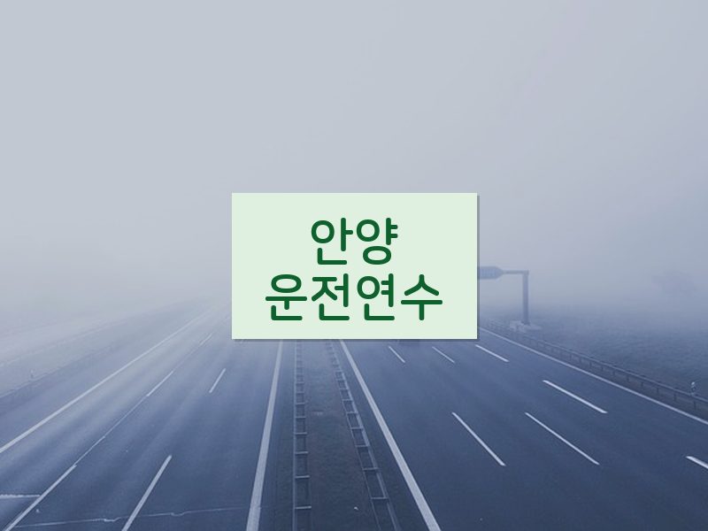 안양운전연수 후기