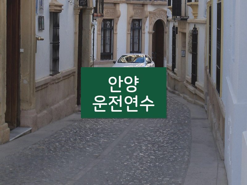 안양운전연수 후기