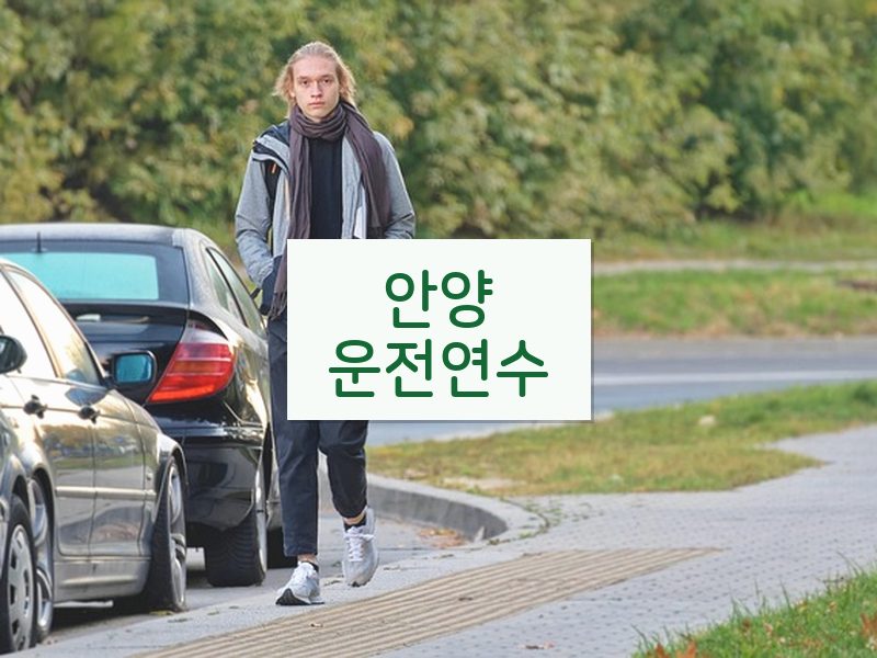 안양운전연수 후기