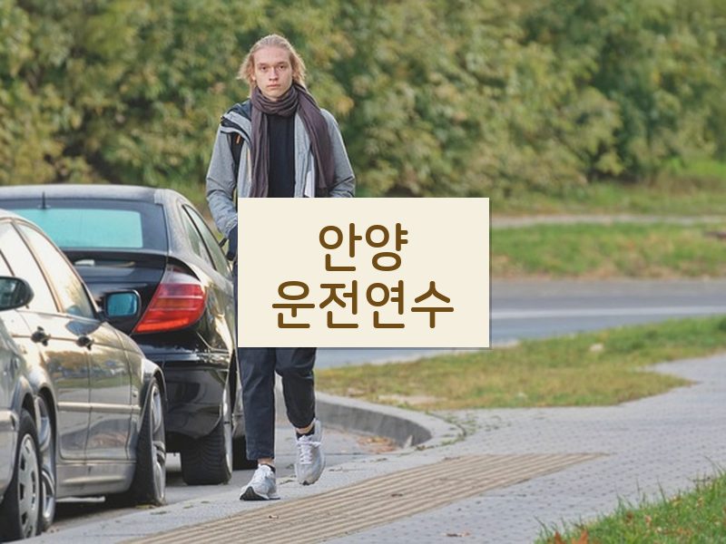 안양운전연수 후기