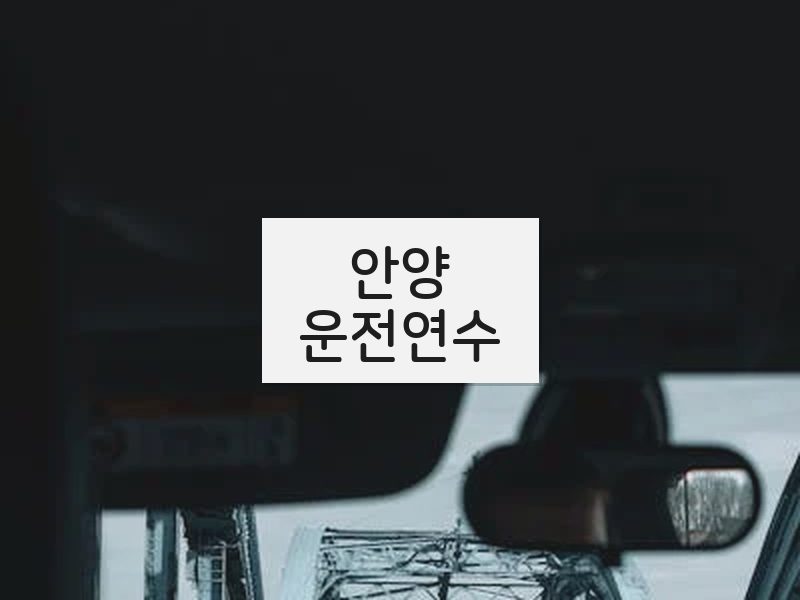안양운전연수 후기