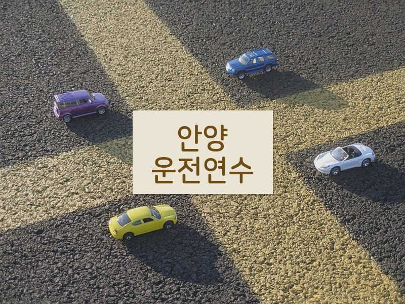 안양운전연수 후기
