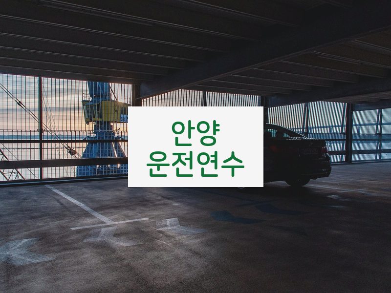 안양운전연수 후기