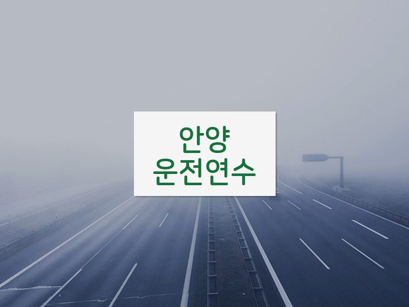 안양운전연수 후기