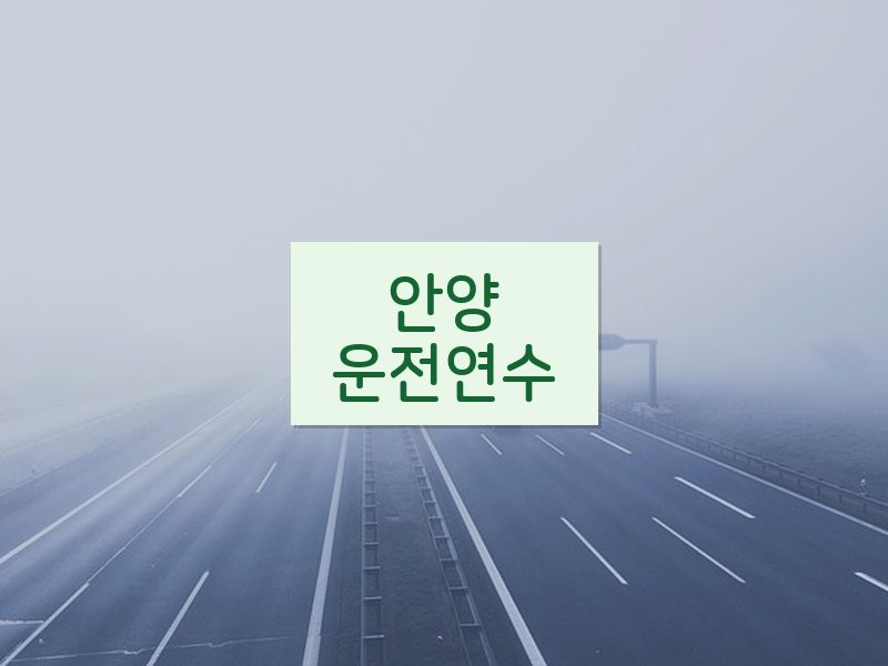 안양운전연수 후기