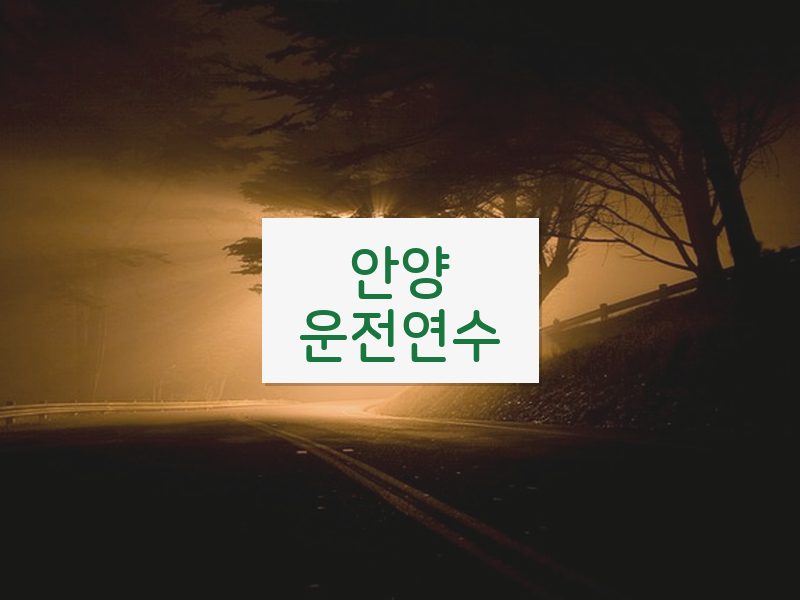 안양운전연수 후기