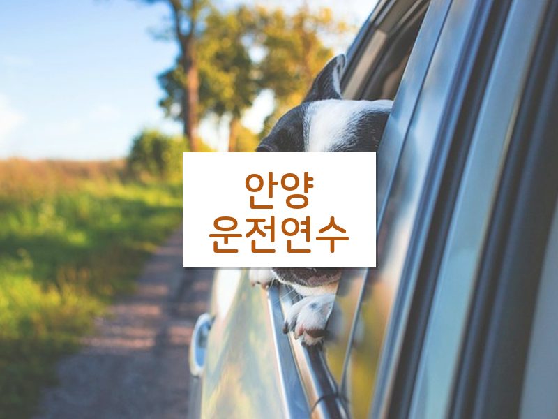 안양운전연수 후기