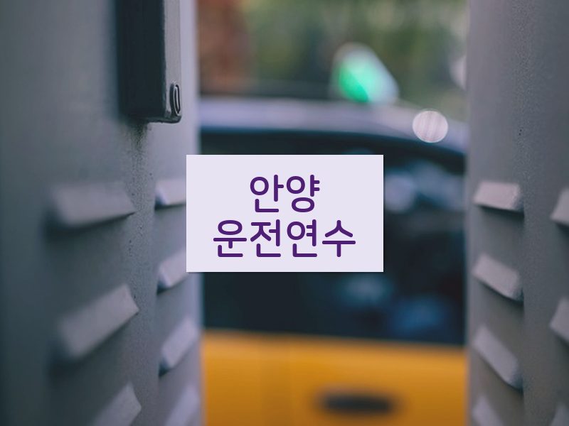 안양운전연수 후기
