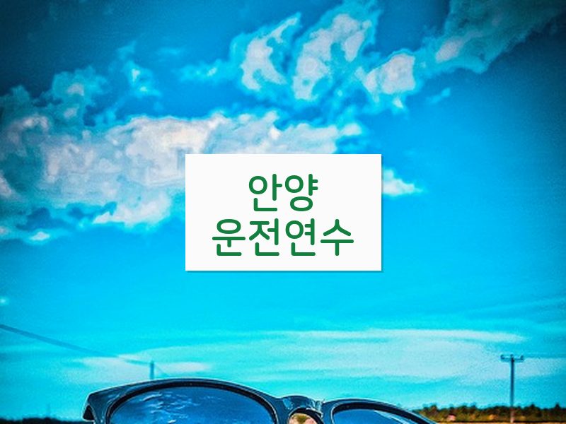 안양운전연수 후기