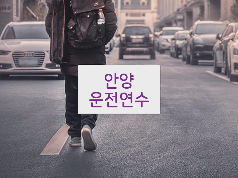 안양운전연수 후기