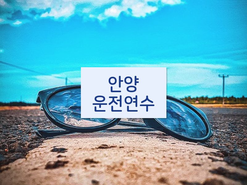 안양운전연수 후기