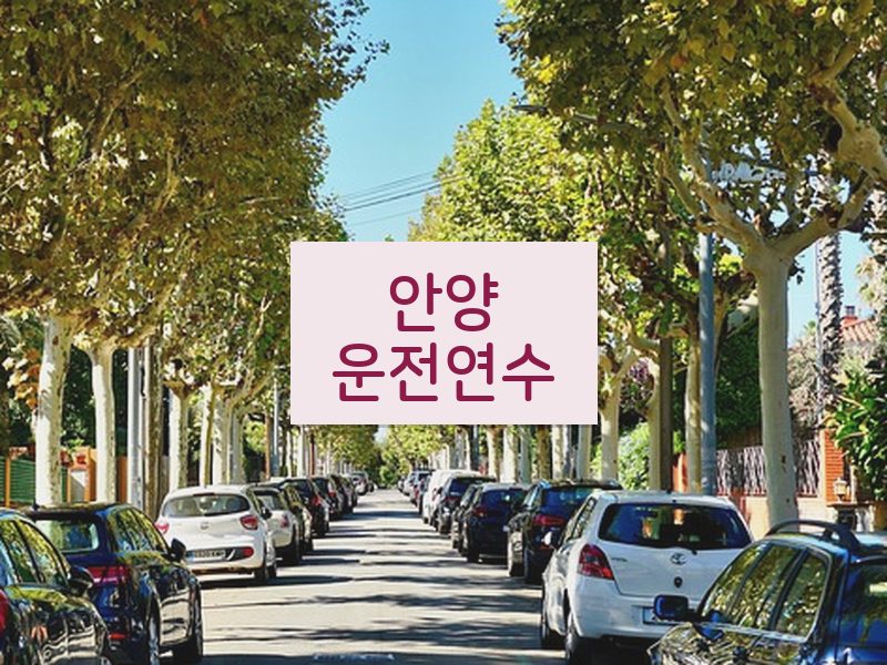 안양운전연수 후기