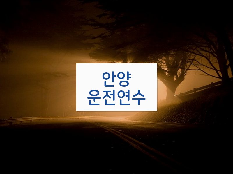 안양운전연수 후기