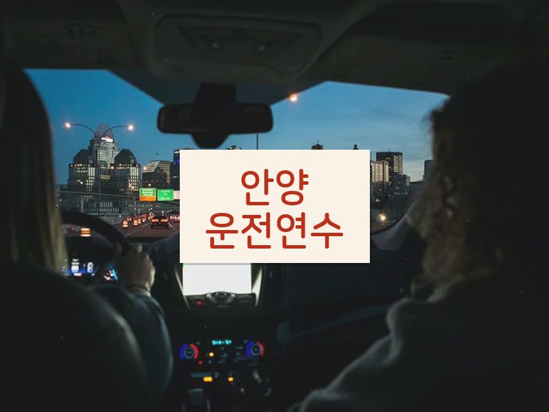 안양운전연수 후기