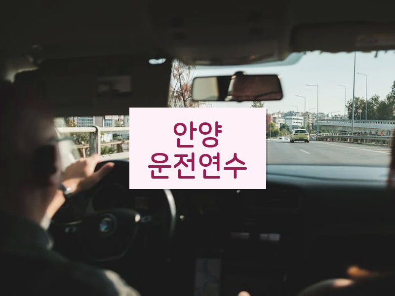 안양운전연수 후기