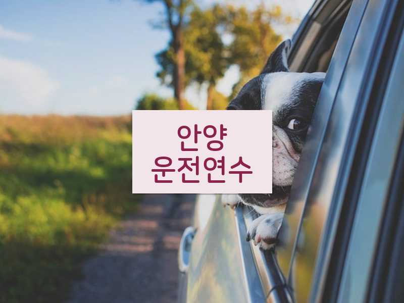 안양운전연수 후기