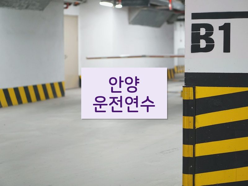 안양운전연수 후기