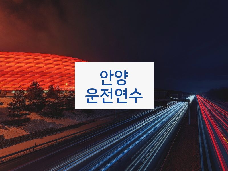안양운전연수 후기