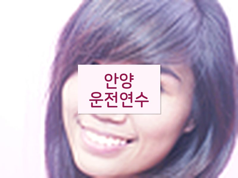 안양운전연수 후기