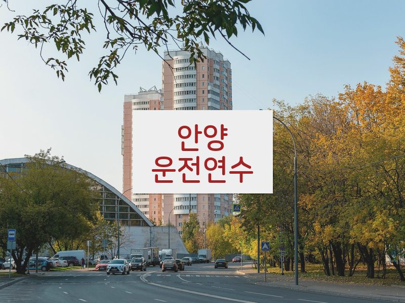 안양운전연수 후기