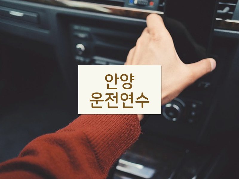 안양운전연수 후기