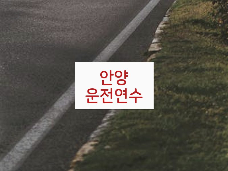안양운전연수 후기