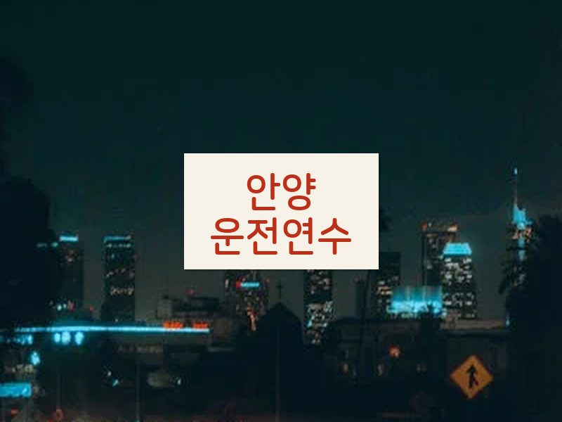 안양운전연수 후기