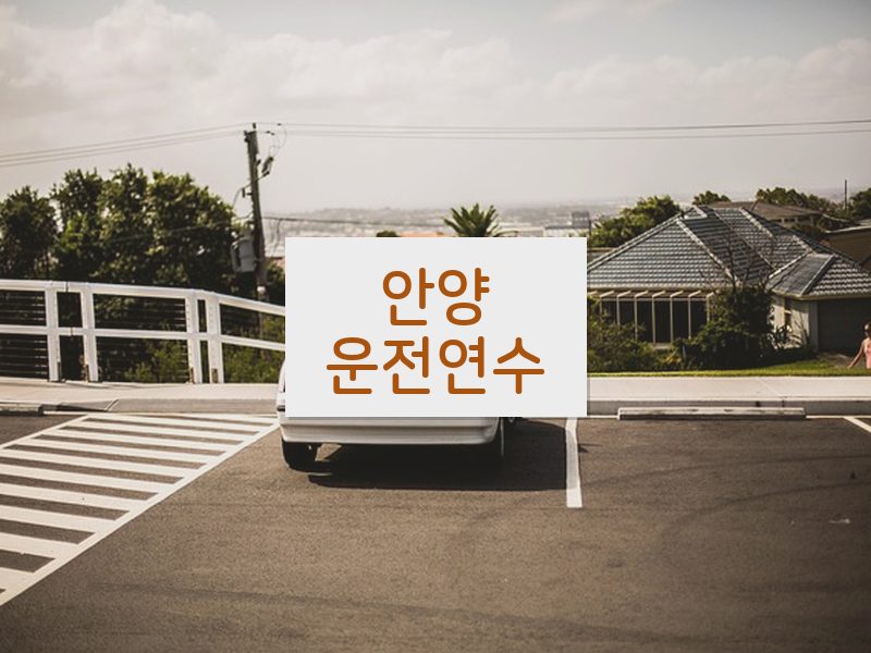 안양운전연수 후기