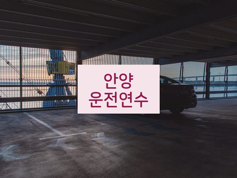 안양운전연수 후기
