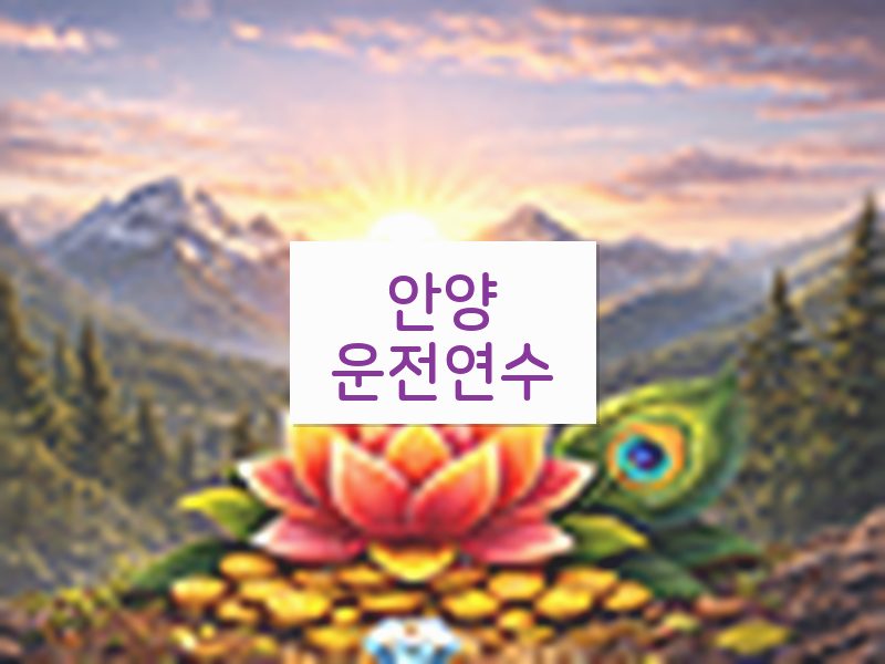 안양운전연수 후기