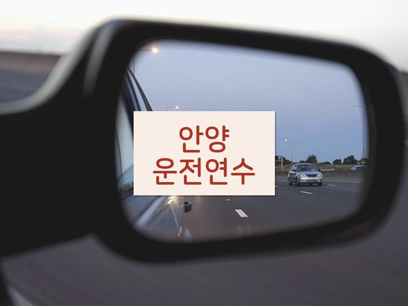 안양운전연수 후기