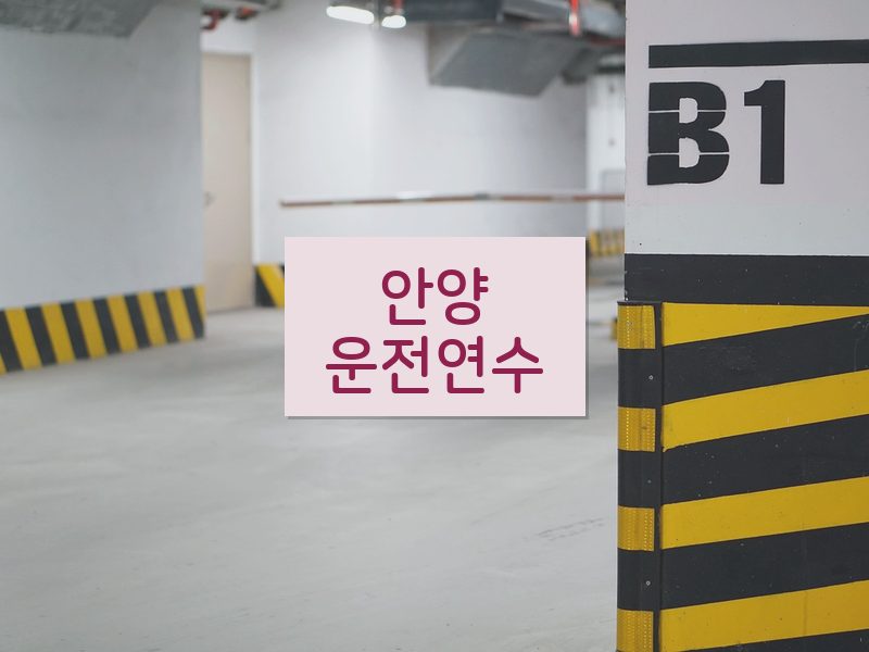안양운전연수 후기