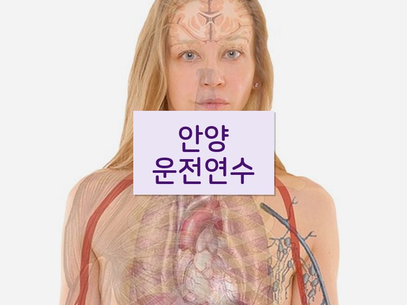 안양운전연수 후기