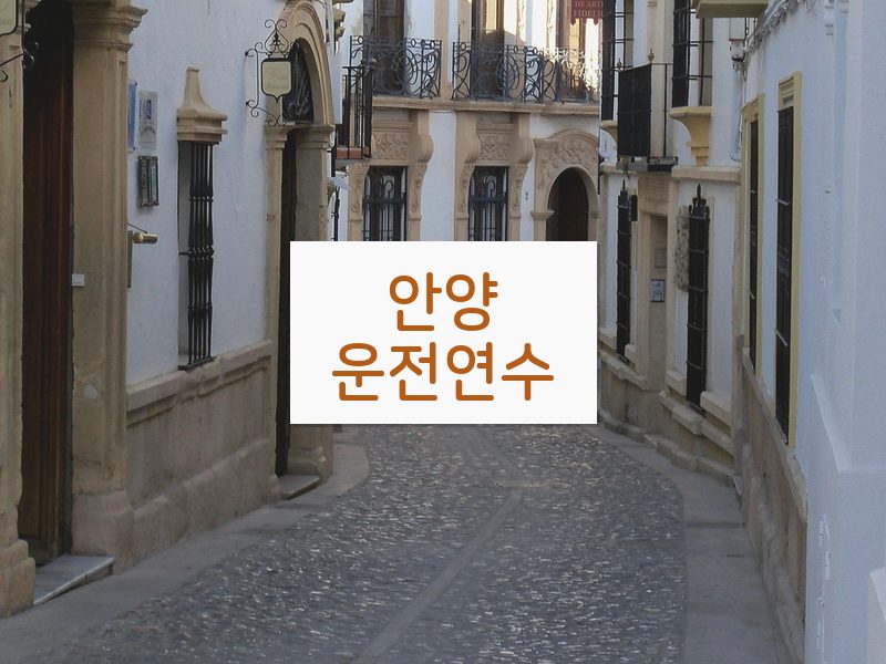 안양운전연수 후기