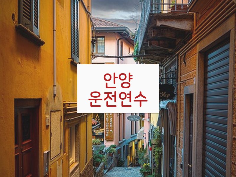 안양운전연수 후기
