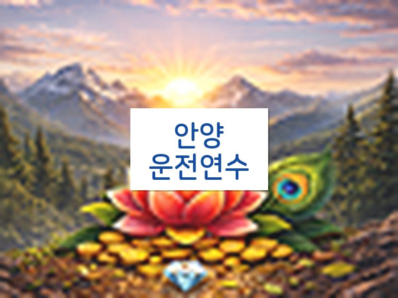 안양운전연수 후기