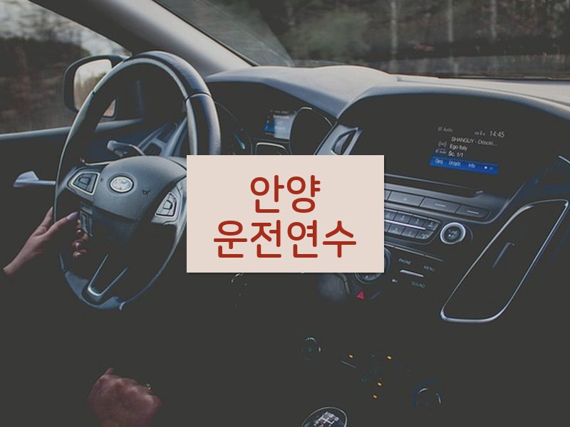 안양운전연수 후기