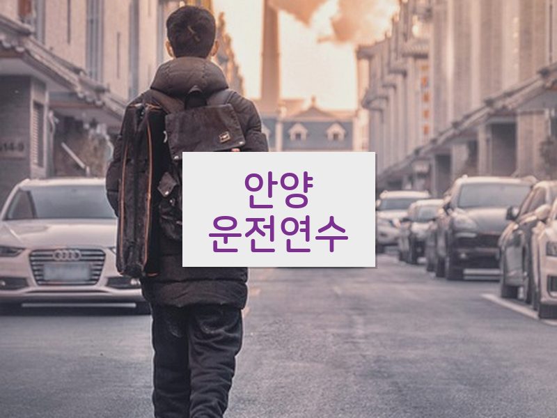 안양운전연수 후기