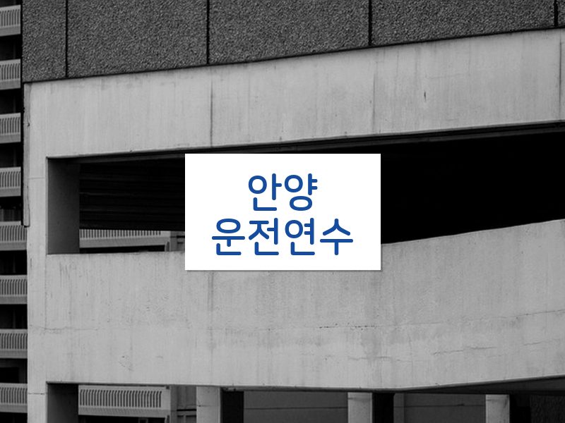 안양운전연수 후기