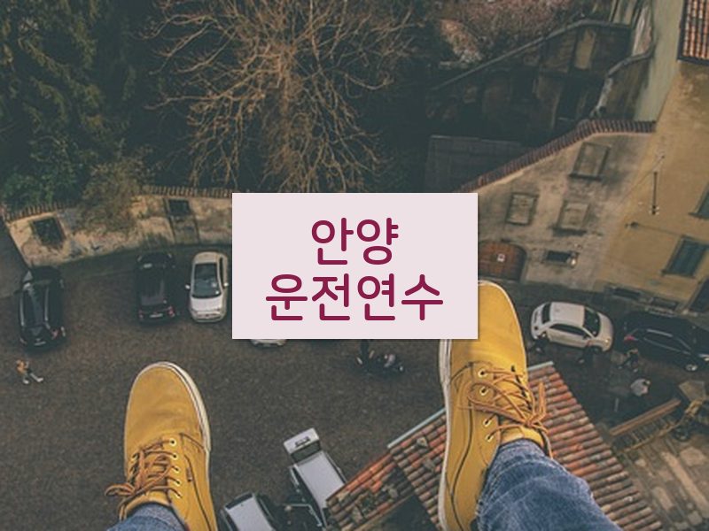 안양운전연수 후기