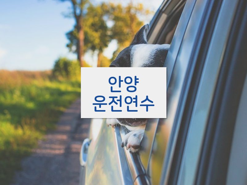 안양운전연수 후기