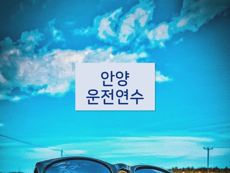 안양운전연수 후기
