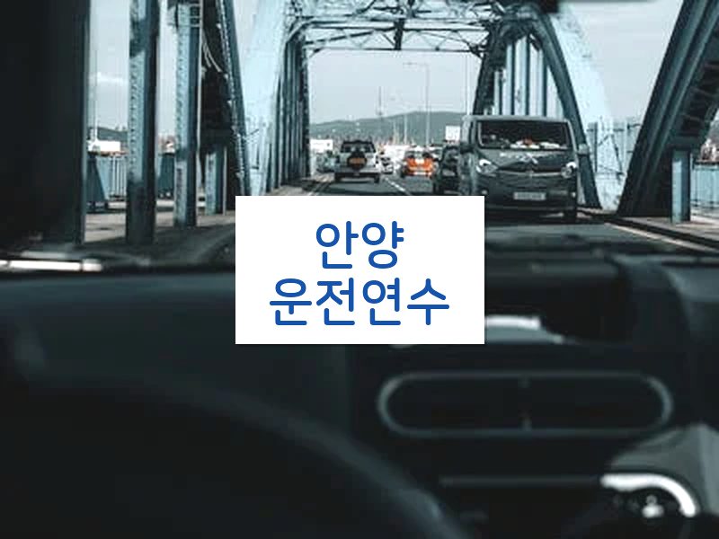 안양운전연수 후기