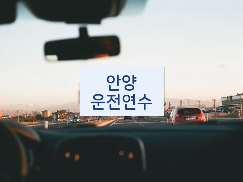 안양운전연수 후기